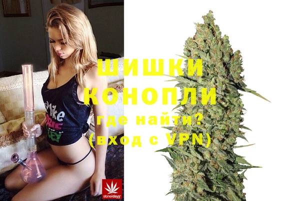 spice Пестово