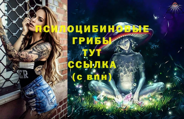 стаф Вуктыл