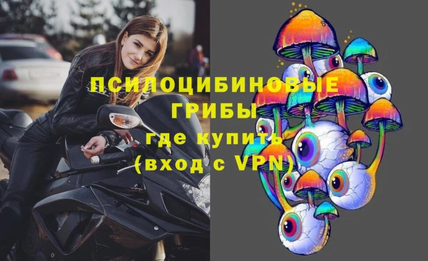 spice Пестово