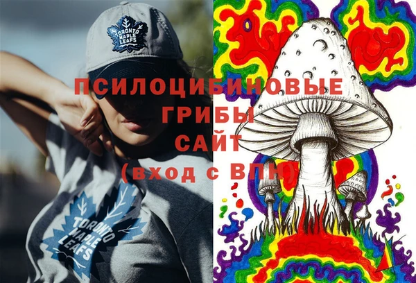 стафф Пересвет