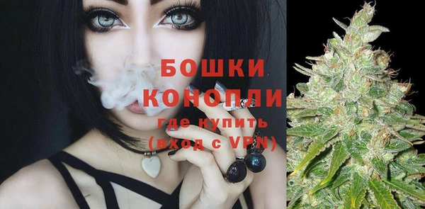spice Пестово
