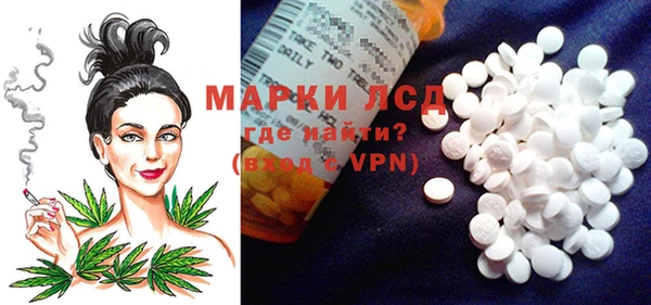 spice Пестово