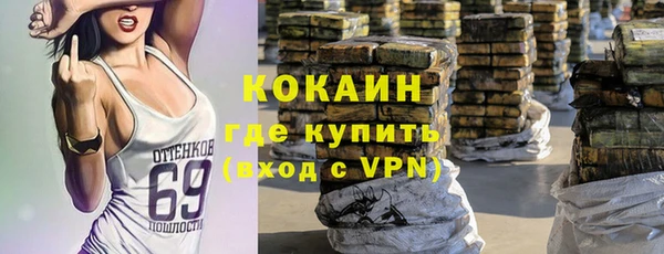 spice Пестово