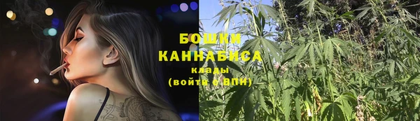 стафф Пересвет