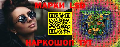 крисы Аргун