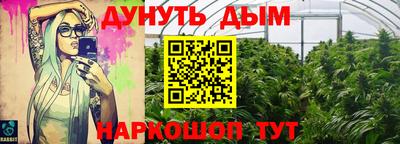 крисы Аргун