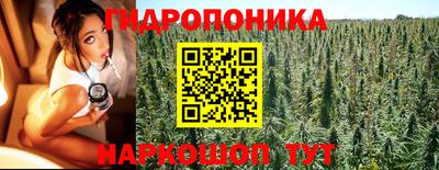 шишки Ипатово