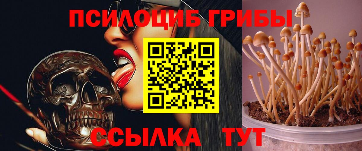 Галлюциногенные грибы Magic Shrooms Нижневартовск