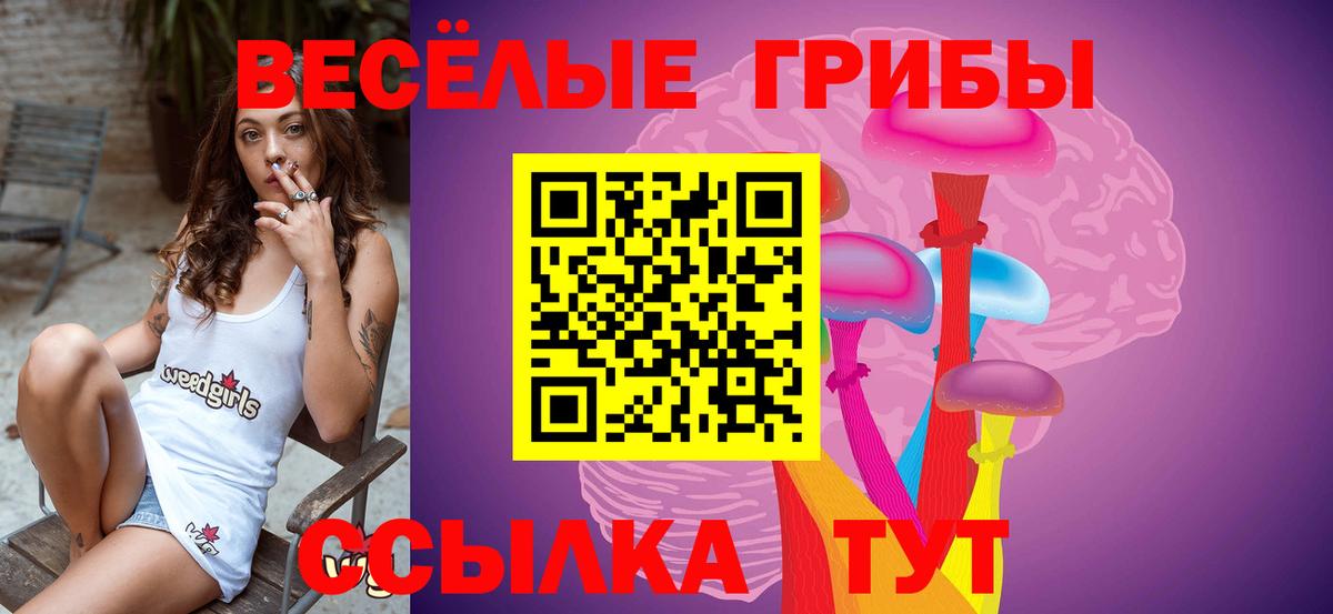 Нижневартовск  Галлюциногенные грибы GOLDEN TEACHER  Галлюциногенные грибы мицелий  Вход с VPN 